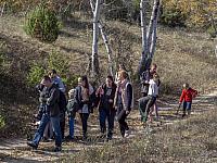 2024.10.12. Báránypirosító tanösvényen (41)