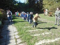 2024.10. Erdők hete (11) 1067x800