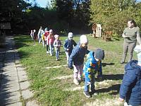 2024.10. Erdők hete (19) 1067x800