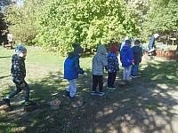 2024.10. Erdők hete (21) 1067x800