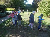 2024.10. Erdők hete (23) 1067x800