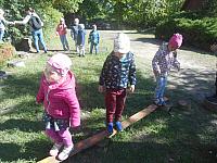 2024.10. Erdők hete (27) 1067x800