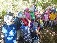 2024.10. Erdők hete (30) 1067x800