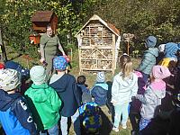 2024.10. Erdők hete (31) 1067x800