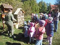 2024.10. Erdők hete (33) 1067x800