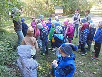 2024.10. Erdők hete (34) 1067x800