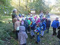 2024.10. Erdők hete (35) 1067x800