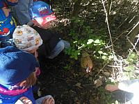 2024.10. Erdők hete (40) 1067x800