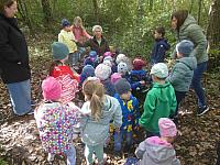 2024.10. Erdők hete (41) 1067x800