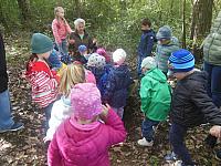 2024.10. Erdők hete (42) 1067x800