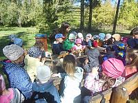 2024.10. Erdők hete (44) 1067x800