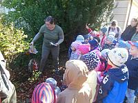 2024.10. Erdők hete (5) 1067x800