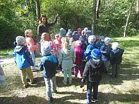 2024.10. Erdők hete (51) 1067x800