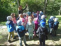 2024.10. Erdők hete (52) 1067x800