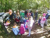 2024.10. Erdők hete (53) 1067x800