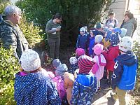 2024.10. Erdők hete (6) 1067x800