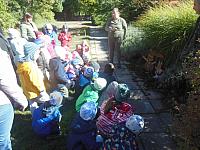 2024.10. Erdők hete (7) 1067x800