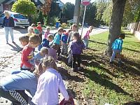 2024.10. Gesztenye-keresés (1) 1067x800