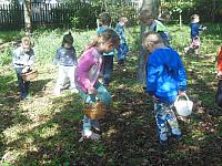 2024.10. Gesztenye-keresés (10) 1067x800