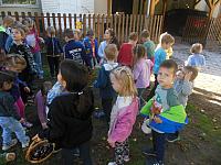 2024.10. Gesztenye-keresés (14) 1067x800