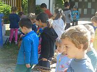 2024.10. Gesztenye-keresés (17) 1067x800