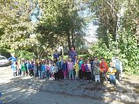 2024.10. Gesztenye-keresés (18) 1067x800