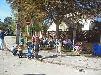 2024.10. Gesztenye-keresés (3) 1067x800