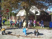 2024.10. Gesztenye-keresés (4) 1067x800