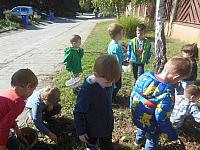 2024.10. Gesztenye-keresés (5) 1067x800