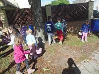 2024.10. Gesztenye-keresés (6) 1067x800