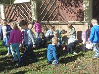 2024.10. Gesztenye-keresés (7) 1067x800