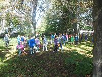 2024.10. Gesztenye-keresés (8) 1067x800