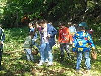 2024.10. Gesztenye-keresés (9) 1067x800